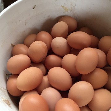Emmer met eieren